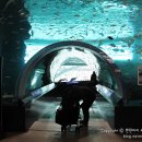 국립해양박물관 공연장 이미지