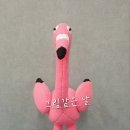 플라밍고 이미지