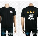 태풍합기도 이미지