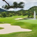 엘리시안 강촌 골프연습장 이미지