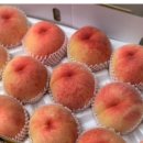 대옥농장 이미지