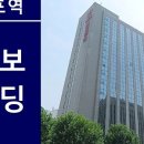 진도빌딩 네이버블로그