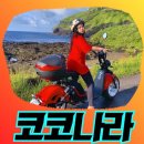 나라전기