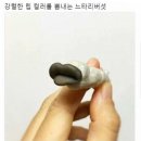 다모음 이미지