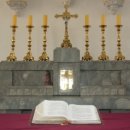 솔로몬목장 이미지