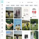 골든비즈 | [결혼준비] 가성비 셀프 청첩장 "비즈하우스" 후기