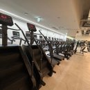 올 마이트 짐 이미지