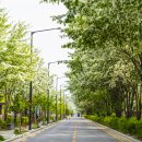 구렛들1길 이미지