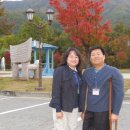 일성무주콘도미니엄 이미지