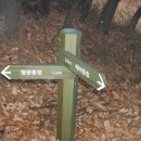 팔공산왕건길 1코스 이미지