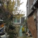 사파동114 이미지