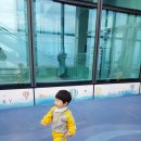 더 스카이(THE SKY) | 해운대 엑스더스카이(X the SKY) 아이랑 다녀온 찐 후기!