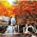 은행나무숲 주차장 부근 이미지