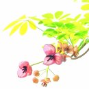 한폭의 그림, 이미지