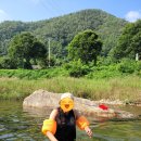 내리계곡로 | [캠핑 04] 영월 내리계곡솔밭캠핑장 후기