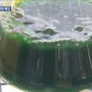 제네시스에너지
