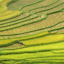 테라스풍경 이미지