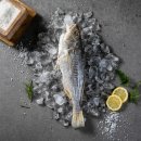 태경수산 이미지