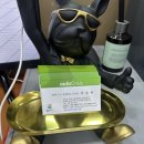 오토오아시스구리