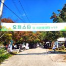 강원도 원주 캠핑장 가을 단풍 캠핑 오페스타 더 크리에이터
