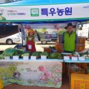 포항시청 이미지