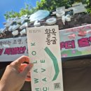 제토산업 | <충주♡여행>활옥동굴, 동굴 투명보트 카약 후기, 철갑상어, 고추냉이 스마트팜, 유모차 가능한 동굴