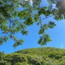 한산한우농장 이미지