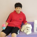 댕댕이 머리방 이미지