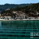 장흥목장 이미지