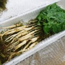 조우마켓