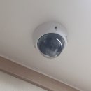 오피스나무 이미지