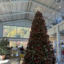 창포마을회관 | 통영 아르세 신상 대형카페, 애견동반·베이커리·야외포토존까지 완벽했던 후기