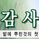 맥추 감사절스킨 이미지