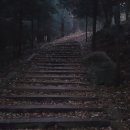 팔용초등학교 이미지