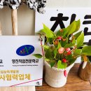 공방마실 이미지