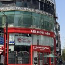 202그리드 | 아마 일산에서 제일 크지 않을까.. 일산 네코샵 오픈..⟡ ₊˚