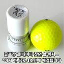 골프볼마커 골린이 라운딩 필수준비물 매드스탬프 후기