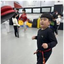 배움 태권도장 이미지