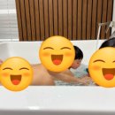 제주 조우아 이미지