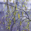 사당역 6번출구앞 이미지