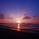 수림 펜션 이미지