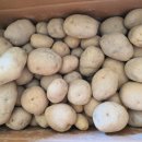 순순농장 네이버블로그