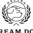 드림독 강아지분양 안심분양센터 잠실점 이미지