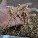 정한정비 이미지