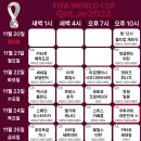 2022년 카타르 월드컵 예선경기 편성표 이미지