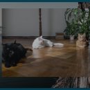 주문진해변관광지 이미지