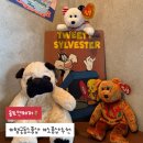 앤빈티지 | [수원 행궁동] 아메리칸 빈티지 소품샵, 솔트앤페퍼 방문 후기