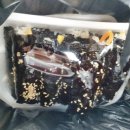 한닢김밥 이미지