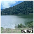 쑥부쟁이(용산저수지)둘레길 | 음성 용산저수지 여행과 쑥부쟁이 둘레길 산책