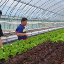 세종특별자치시농업기술센터 이미지